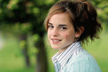 21380.gif